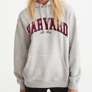 H&M grey harvard embroidered hoodie